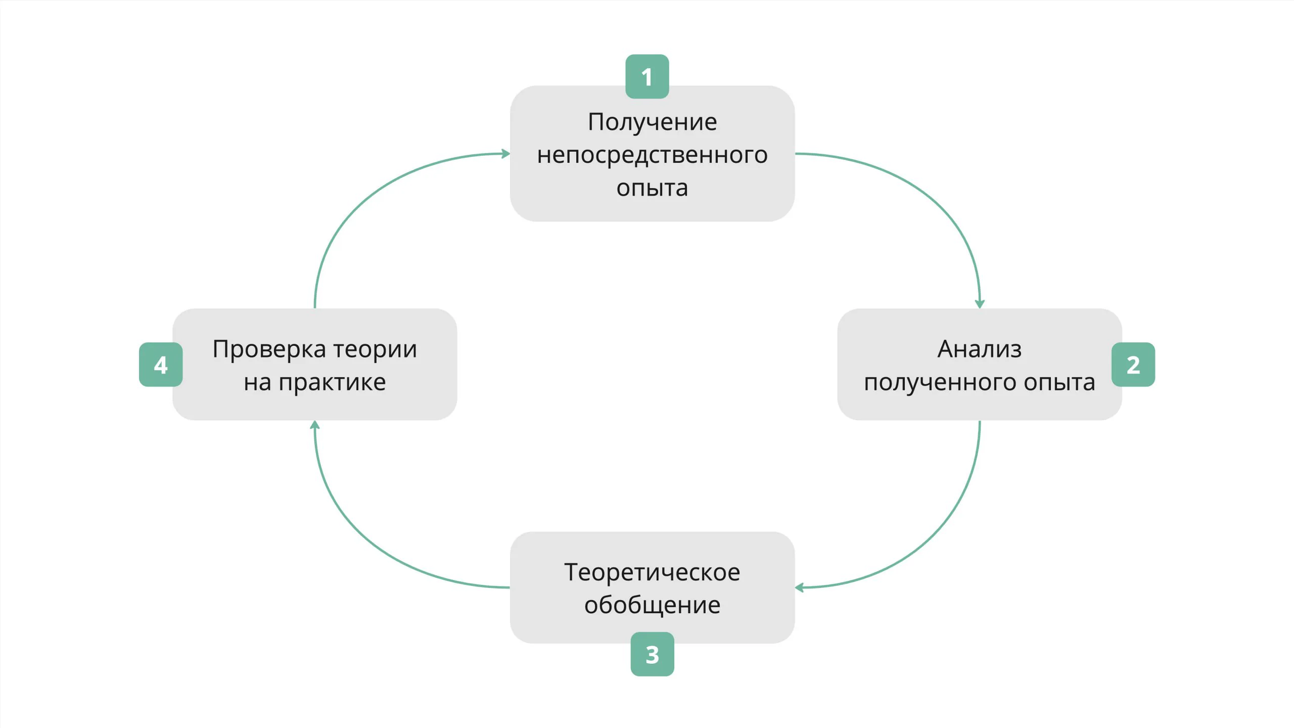 Схема цикла Колба: получение опыта, анализ опыта, теоретическое обобщение и проверка теории на практике